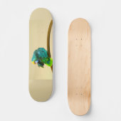 papegaaiendek skateboard (Voorkant)