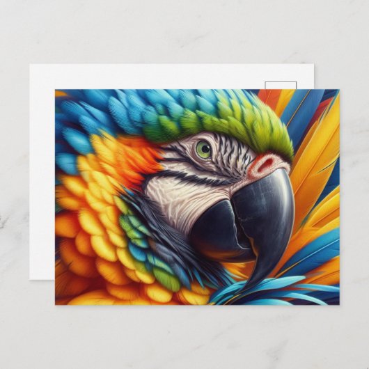 PapegaaienLiefhebber Ara Papegaai  Briefkaart (Voorkant / Achterkant)
