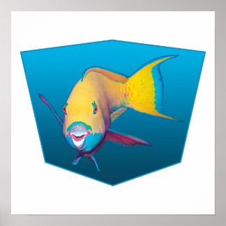 Papegaaivis - ontwerp verloop blauwe achtergrond | poster