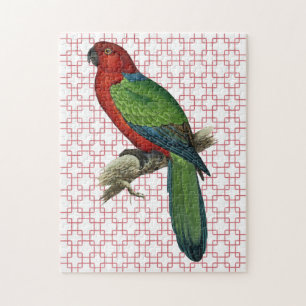  papegaaivogel op Retro Art Legpuzzel