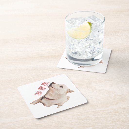 paper coaster of dog   kartonnen onderzetters (Insitu)