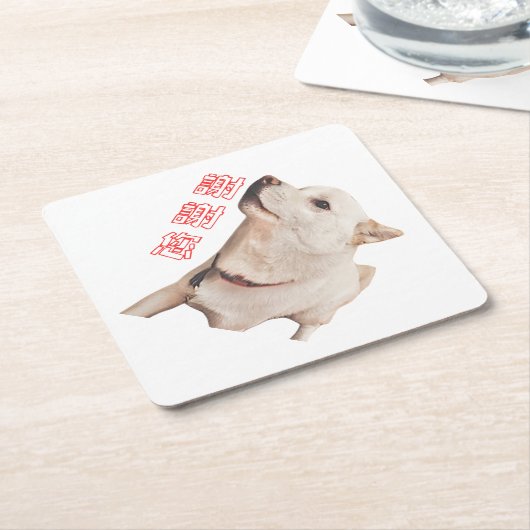 paper coaster of dog   kartonnen onderzetters (Schuin)
