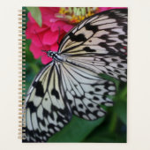 Paperkite papillon (Devant)