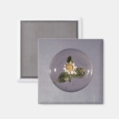 Paperweight, Pantin Workshop, c.1850 Magneet (Voorkant / Achterkant)