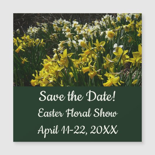 Paperwhite Narcissus Delicate White Flowers (Voorkant)