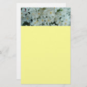 Paperwhite Narcissus Delicate White Flowers Briefpapier (Voorkant / Achterkant)