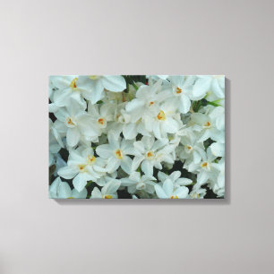 Paperwhite Narcissus Delicate White Flowers Canvas Afdruk