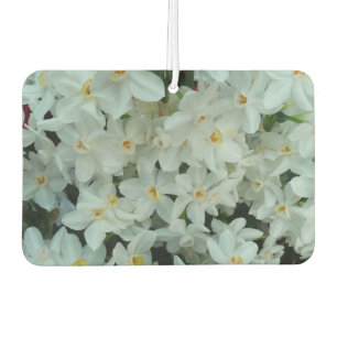 Paperwhite Narcissus Delicate White Flowers Luchtverfrisser