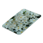 Paperwhite Narcissus Delicate White Flowers Magneet (Linkerzijde)