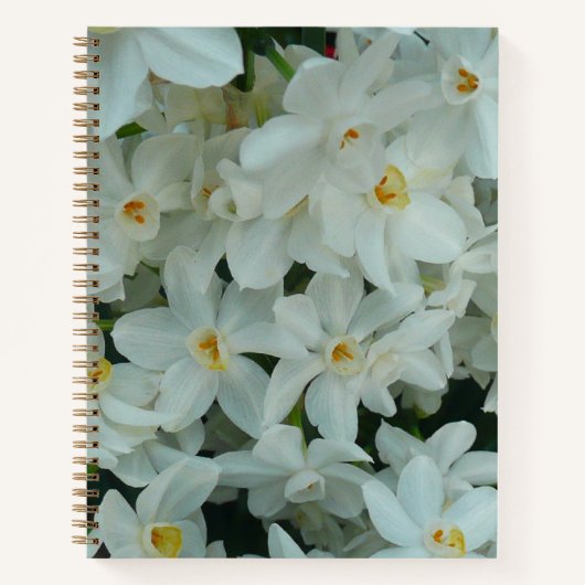 Paperwhite Narcissus Delicate White Flowers Notitieboek (Voorkant)