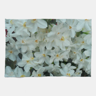 Paperwhite Narcissus Delicate White Flowers Theedoek