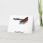 Paperwhite Narcissus Merci (Dos)