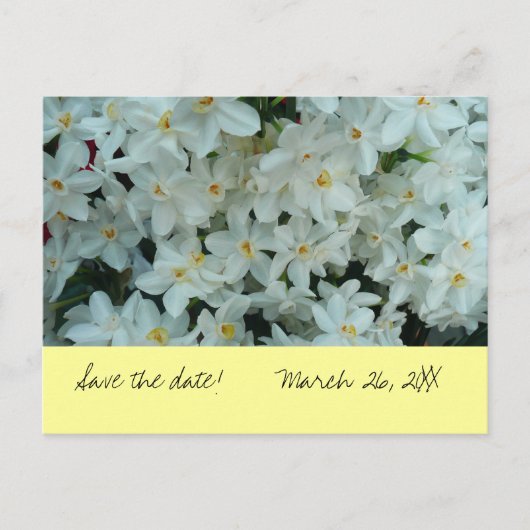 Paperwhite Narcissus "Save the Date" Briefkaart (Voorkant)