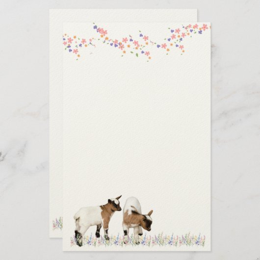 PAPETERIE 花とかわいい子ヤギ♡ (Devant / Derrière)