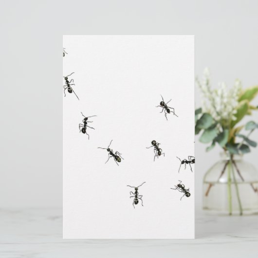 PAPETERIE 10 (Debout devant)