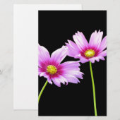 Papeterie 2 Cosmos (Devant / Derrière)