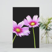 Papeterie 2 Cosmos (Debout devant)