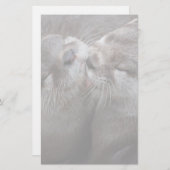 Papeterie 2 Otters Kisser Photo Faune (Devant / Derrière)