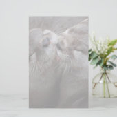 Papeterie 2 Otters Kisser Photo Faune (Debout devant)