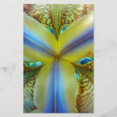 Papeterie A l'intérieur de Iris (Devant)