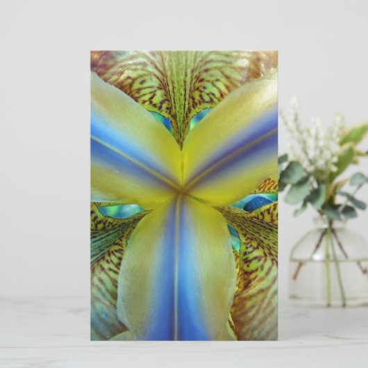 Papeterie A l'intérieur de Iris (Debout devant)