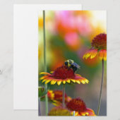 Papeterie Abee sur Gaillardia (Devant / Derrière)