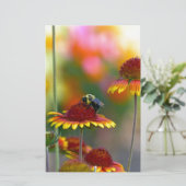 Papeterie Abee sur Gaillardia (Debout devant)