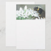 Papeterie Abeille en fleurs blanches (Devant / Derrière)