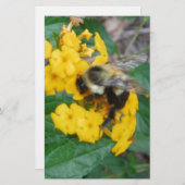 Papeterie Abeille jaune et noire sur la fleur jaune (Devant / Derrière)
