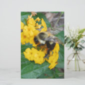 Papeterie Abeille jaune et noire sur la fleur jaune (Debout devant)