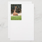 Papeterie adorable Giraffe assise (Devant / Derrière)