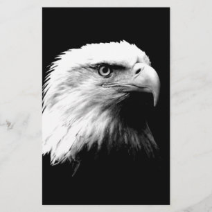Papeterie Aigle à tête blanche américaine