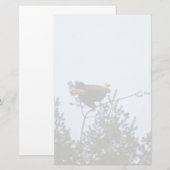 Papeterie Aigle de Bald (Devant / Derrière)