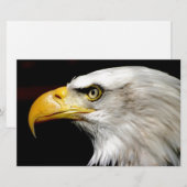 Papeterie Aigle de Bald (Devant / Derrière)