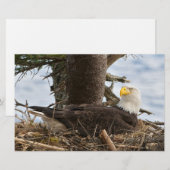 Papeterie Aigle nicheur (Devant / Derrière)