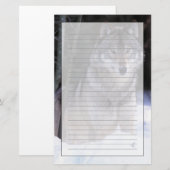 Papeterie Amérique du Nord, Canada, Est du Canada, Loup gris (Devant / Derrière)