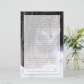 Papeterie Amérique du Nord, Canada, Est du Canada, Loup gris (Debout devant)