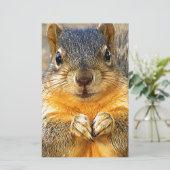 Papeterie Amour des écureuils_ (Debout devant)