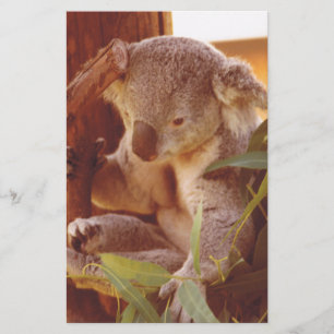 Papeterie Amour Koala