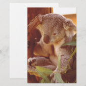 Papeterie Amour Koala (Devant / Derrière)