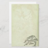 Papeterie antique verte de reproduction (Devant / Derrière)