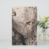 Papeterie Ants Go Marching (Debout devant)