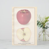 Papeterie Apple vintage (Debout devant)