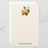 Papeterie Apricots orange vintage (Devant / Derrière)