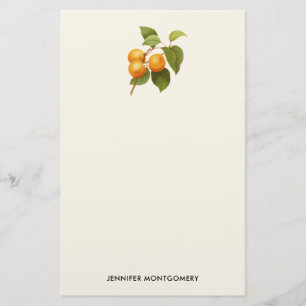 Papeterie Apricots orange vintage