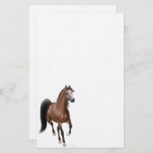 Papeterie Arabe de cheval de baie (Devant / Derrière)