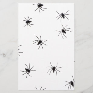 Papeterie araignées