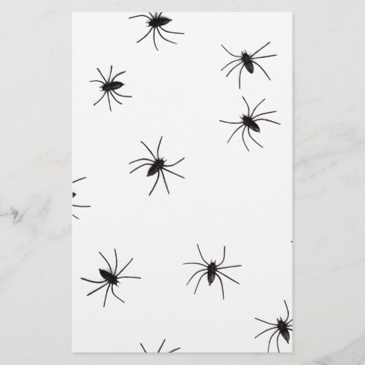 Papeterie araignées (Devant)