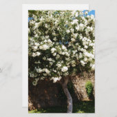 Papeterie Arbre de jasmin en fleur (Devant / Derrière)