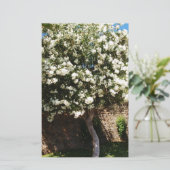 Papeterie Arbre de jasmin en fleur (Debout devant)